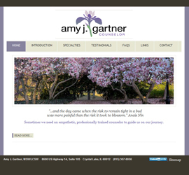 Amy J. Gartner LCSW